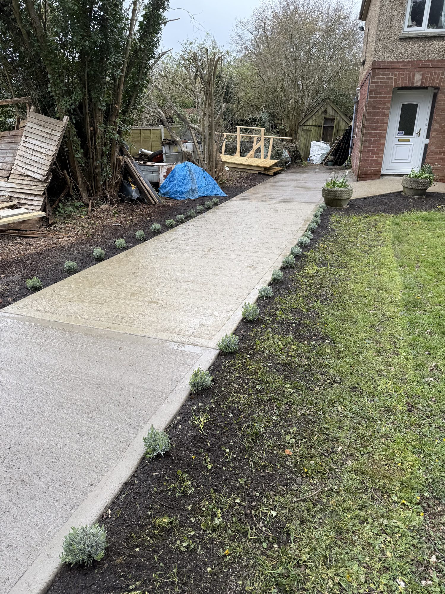 Concrete driveway with a lavender-planted border alongside a house