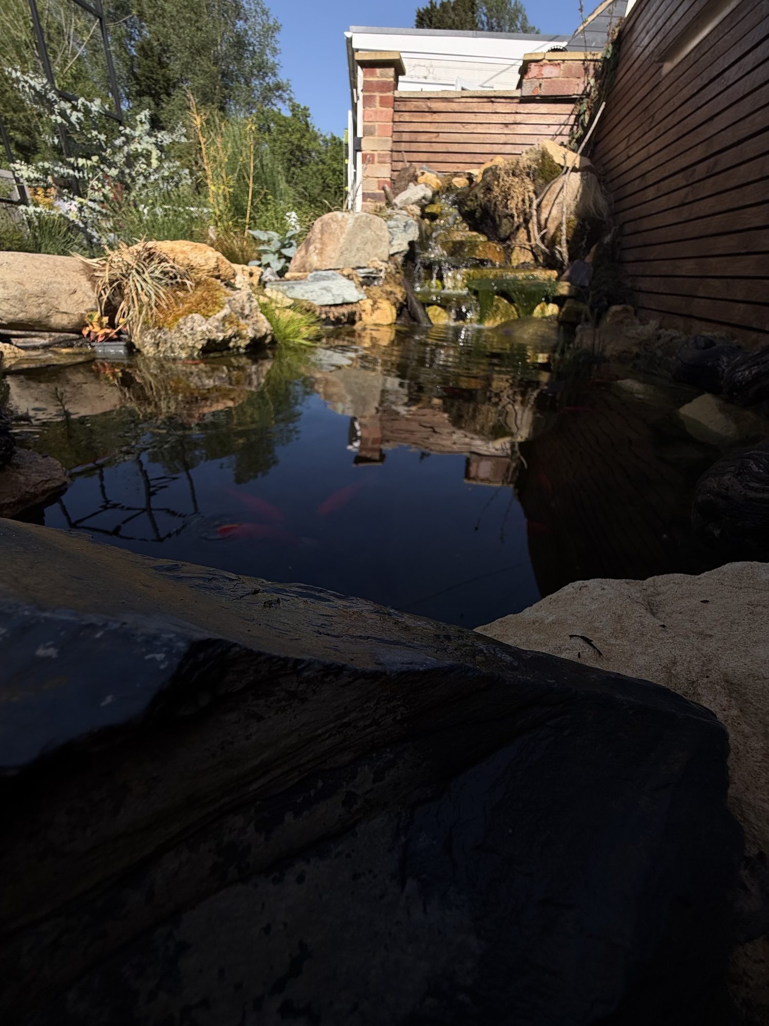 Ponds and water features