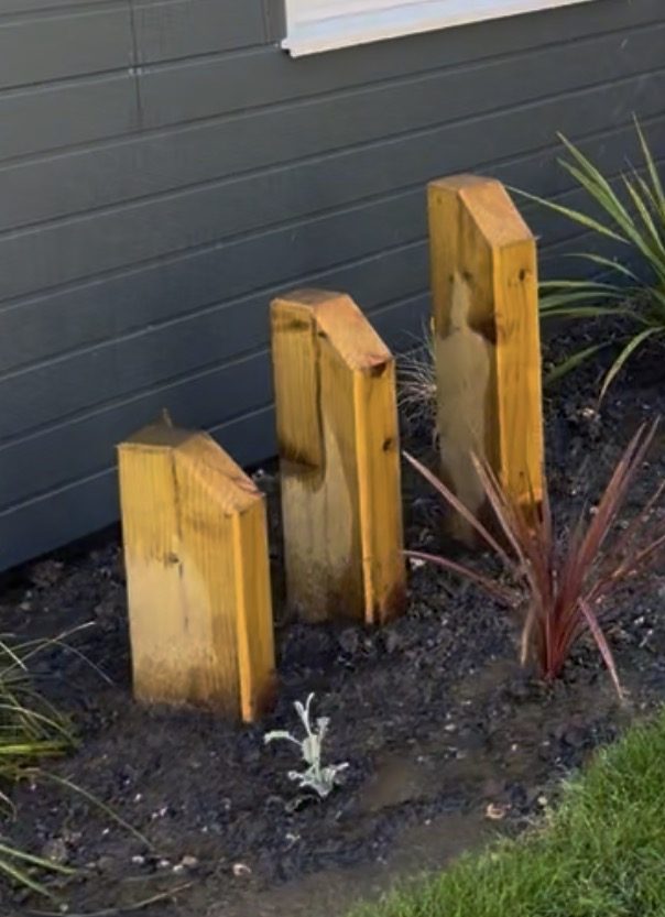 Three graduated oak-post water feature with cordyline and fresh planting against grey cladding
